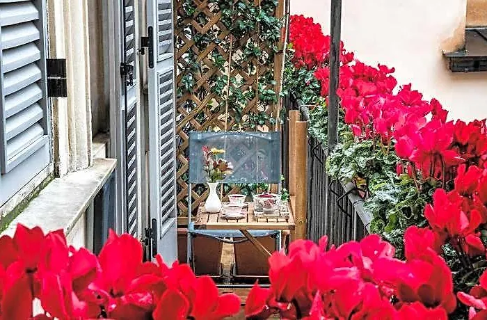 Navona Grand Гостевой дом Рим